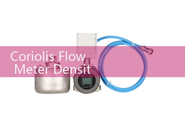 Coriolis Flow Meter Density Measurement Principles