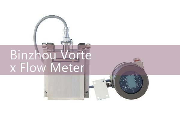 Binzhou Vortex Flow Meter