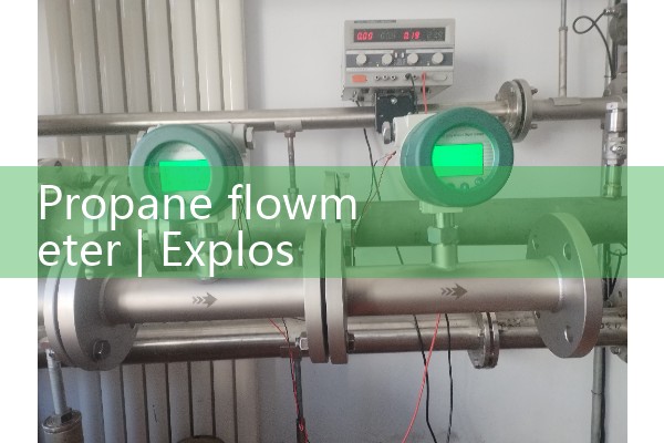 Propane flowmeter