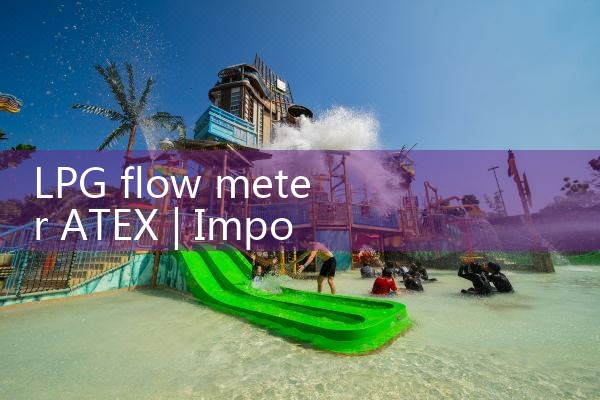 LPG flow meter ATEX|digital flow meter