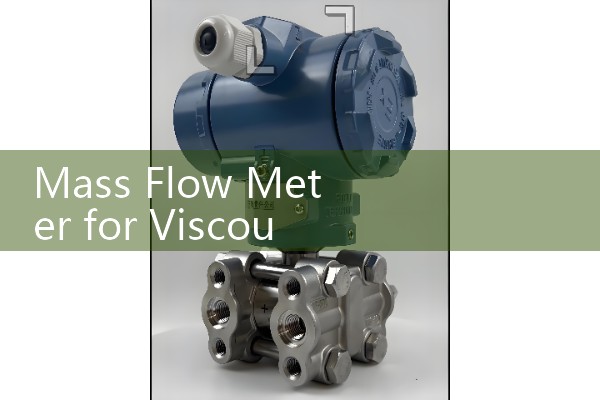 Mass Flow Meter for Viscous Liquids & Slurries