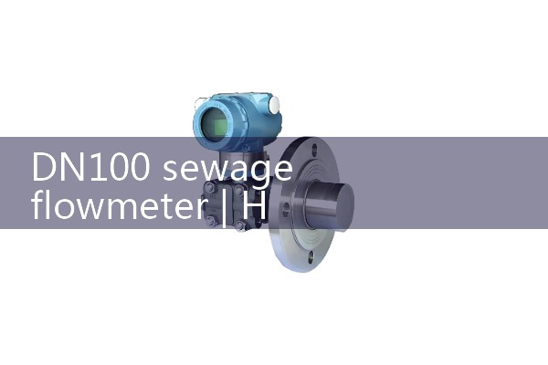 DN100 sewage flow meter