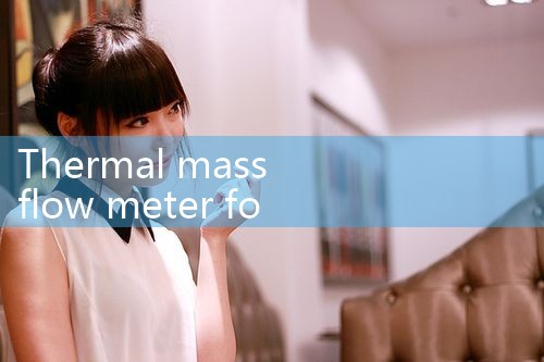 thermal mass flow meter for process gas|turbine flow meter