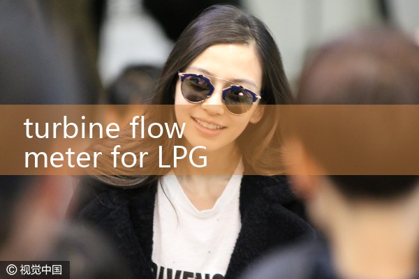 turbine flow meter for LPG|digital flow meter