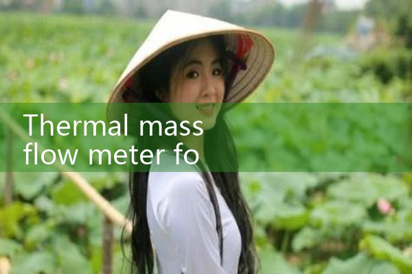 thermal mass flow meter for duct|turbine flow meter