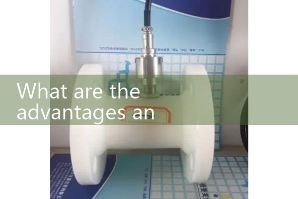 Vortex flowmeter