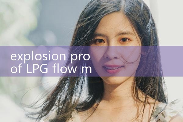 explosion proof LPG flow meter|digital flow meter