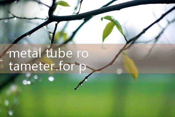 metal tube rotameter for pharmaceutical industry|turbine flow meter