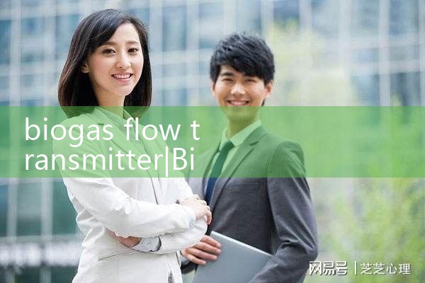 biogas flow transmitter|digital flow meter