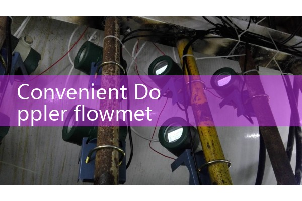 Convenient Doppler flowmeter