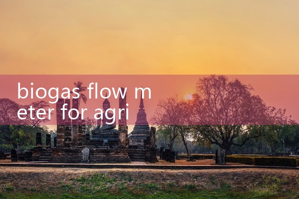 biogas flow meter for agricultural digester|digital flow meter