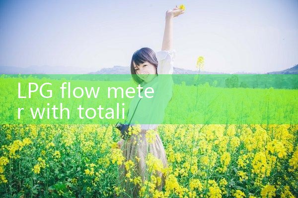 LPG flow meter with totalizer|digital flow meter