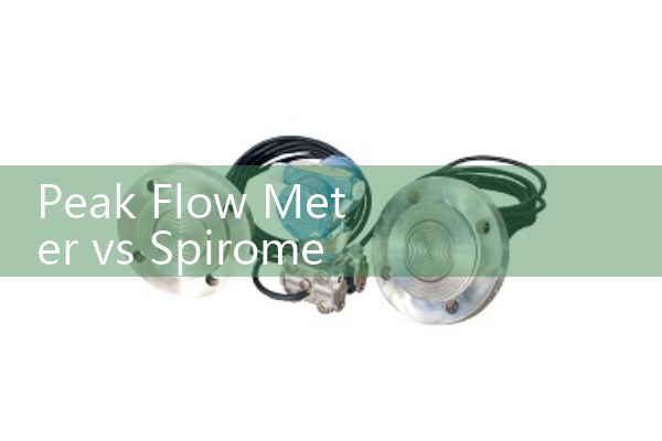 Peak Flow Meter vs Spirometer: Key Differences in Pulmonary Health Tracking
