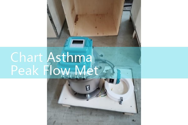 Chart Asthma Peak Flow Meter Zones: Free Printable Target Range PDFs