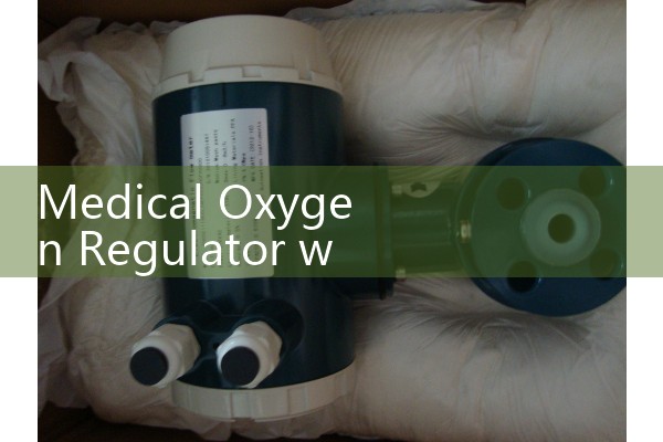 Medical Oxygen Regulator with Flow Meter: Healthcare Cylinder Accessories
