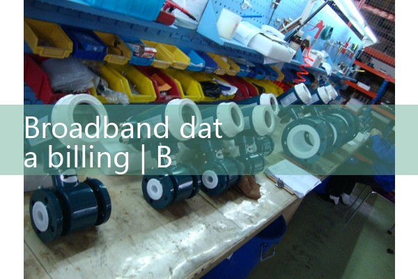 Broadband data billing