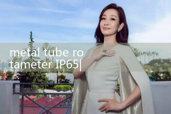 metal tube rotameter IP65|turbine flow meter
