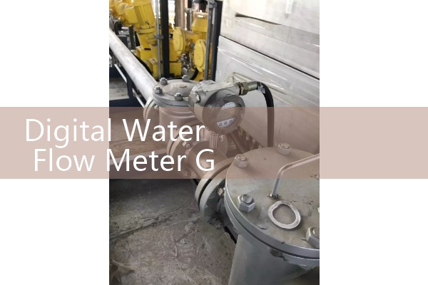 ultrasonic meter for gas