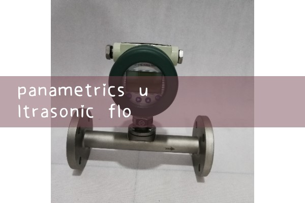 panametrics ultrasonic flow meter|heat flow meter