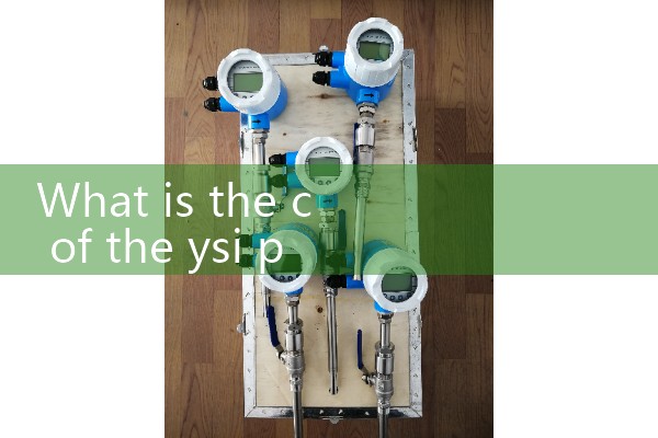 ysi prodss|magnetic flow meter