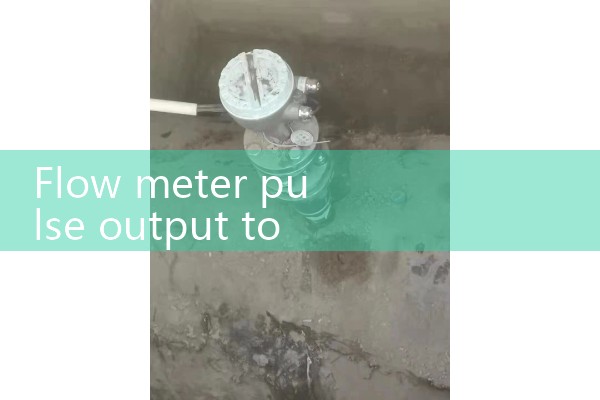 flow meter pulse output to plc|gas flow meter