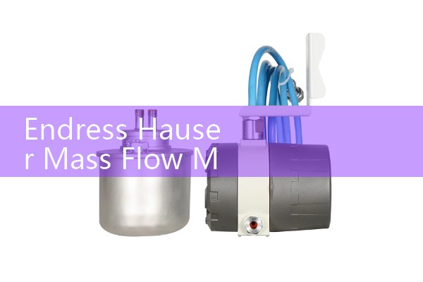 Endress Hauser Mass Flow Meter Manual Review: Zero Point Adjustment and Field Checks