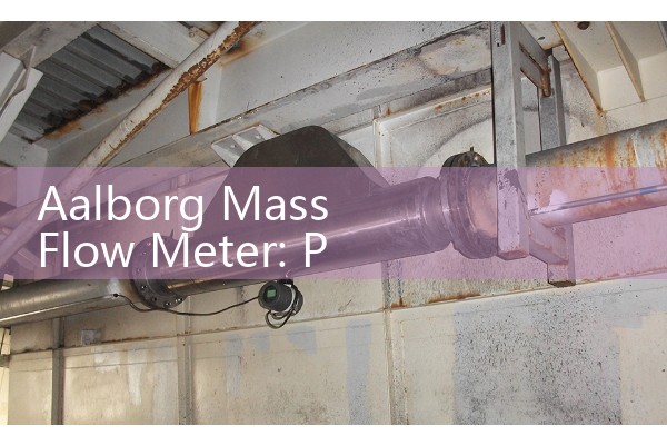 Aalborg Mass Flow Meter: Precision thermal gas processing sensor specs.