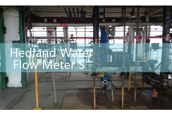 Hedland Water Flow Meter Selection: Finding Robust Mechanical Indicators for Cooling Jacket Lines