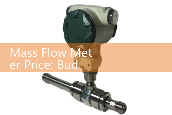 Mass Flow Meter Price: Budgeting for High-Performance Process Instrumentation