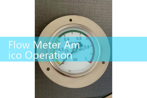 Flow Meter Amico Operations: Medical Gas Sizing Panels and Flowmeter Testing Protocols