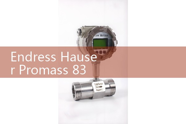 Endress Hauser Promass 83 Flow Meter Diagnostics: Reading Error Codes and Fixing Sensor Drift