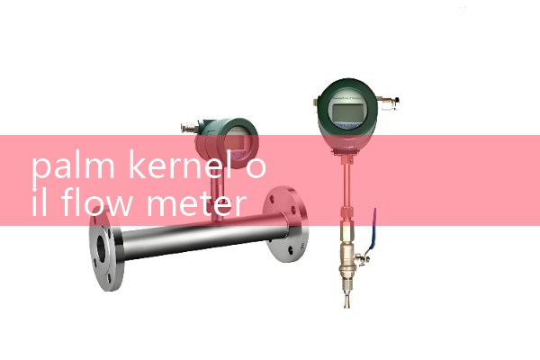 palm kernel oil flow meter