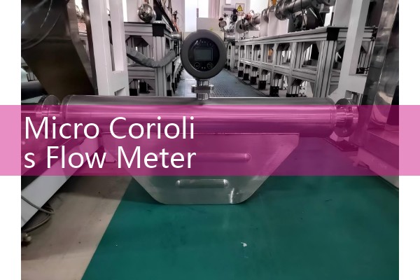Micro Coriolis Flow Meter G/H Mass Calibration Guidelines
