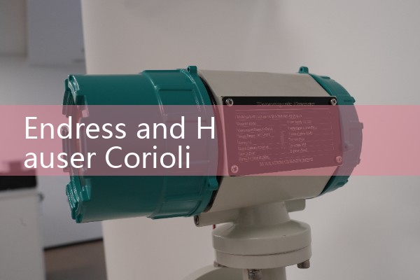Endress and Hauser Coriolis Flow Meter Review: Premium Mass Flow Measurement