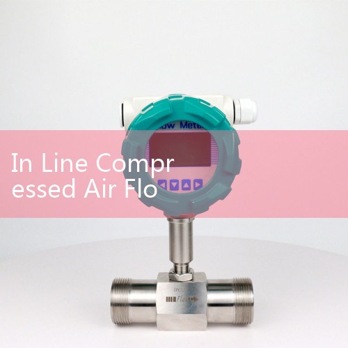 In Line Compressed Air Flow Meter: Tracking Factory Utility Consumption Rates for Carbon Footprint Audits