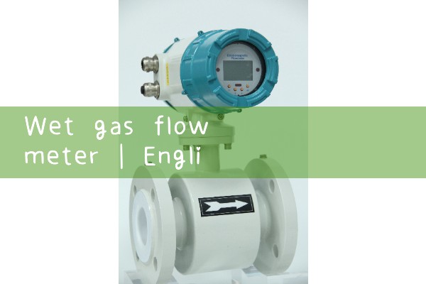 wet gas flow meter|heat flow meter