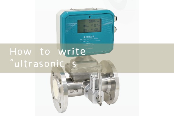 ultrasonic steam flow meter|gas flow meter