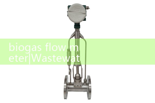 biogas flow meter|heat flow meter