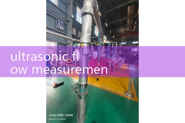 ultrasonic flow measurement|heat flow meter